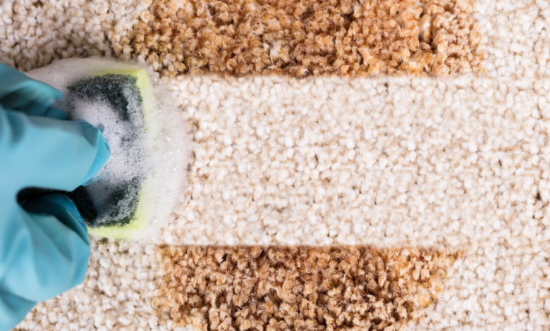 Carpet Cleaning 101: How to Take Care Of Your Carpet?