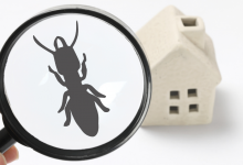 10 Tips About Pest Control From The Experts