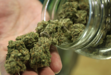 Los Gatos hashish dispensaries may usher in 0K to metropolis – The Mercury Information