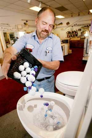 These bogs flushed with success – East Bay Occasions