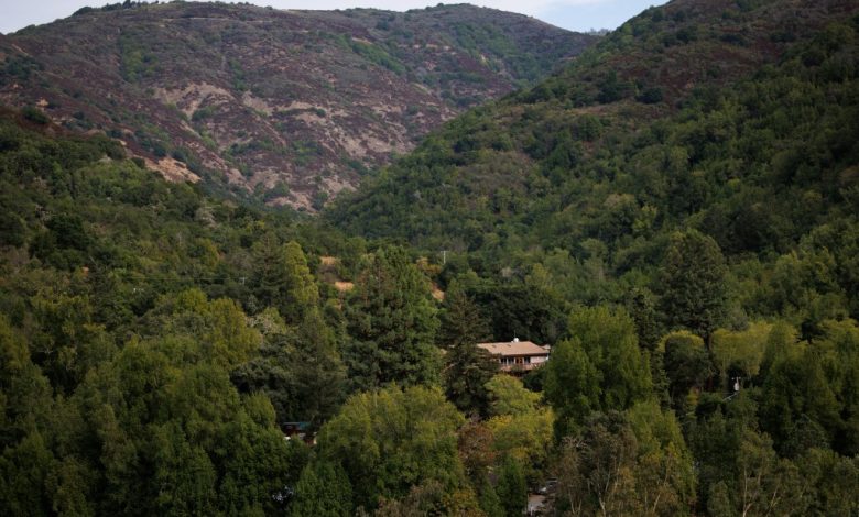 Los Gatos nude resort asking worth tops million: actual property agent