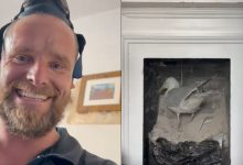 Chimney sweep captures second ‘rambunctious’ seagull falls from an previous flue