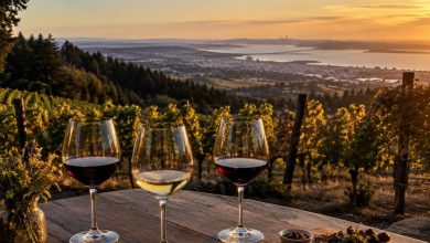 Downtown Fall Wine Walk